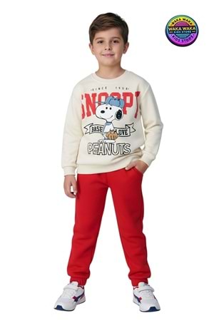 Erkek Çocuk Snoopy Baskılı Renkli Eşofman Takımı